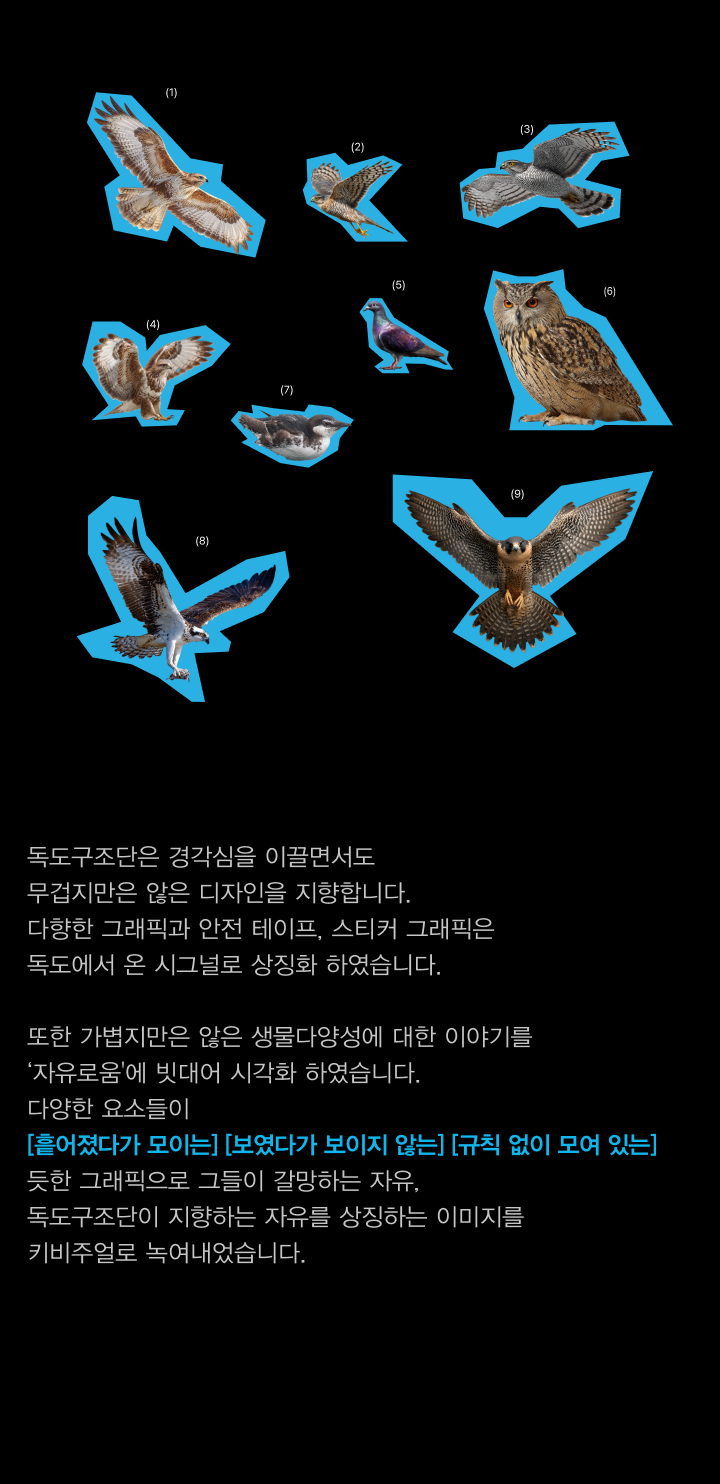 독도구조단