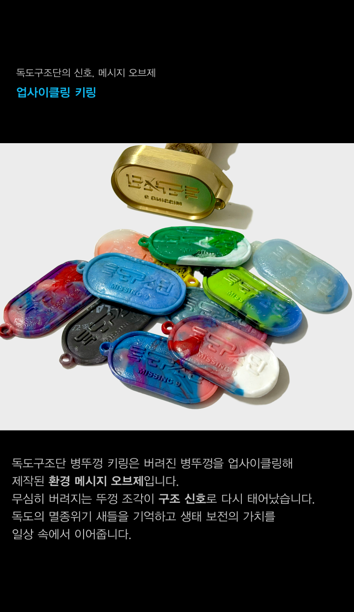 독도구조단