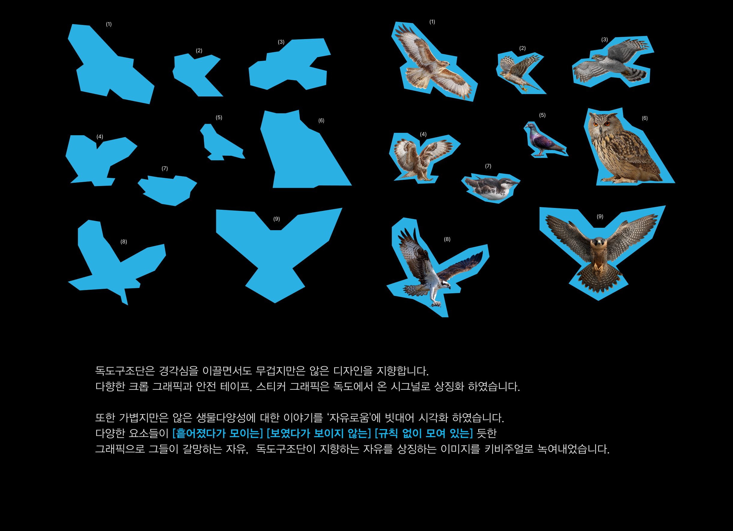 독도구조단