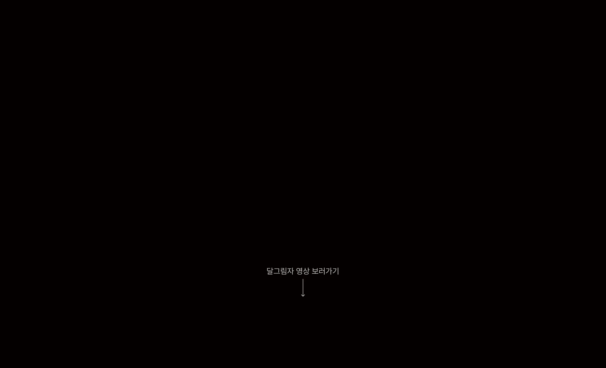 달그림자